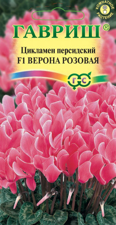 Семена Цикламен персидский Верона розовая F1, 3шт, Гавриш, Цветочная коллекция