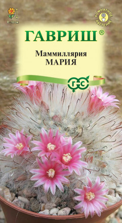 Семена Маммиллярия Мария, 2шт, Гавриш, Цветочная коллекция