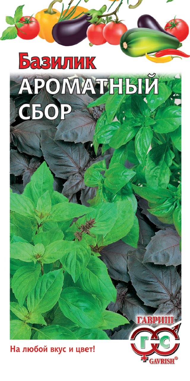 Посуда Черный Базилик Купить