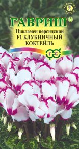 Семена Цикламен персидский Клубничный коктейль F1, 3шт, Гавриш. Цветочная коллекция