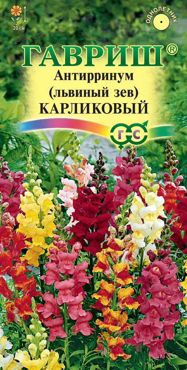 Семена Антирринум (Львиный зев) карликовый, смесь, 0,1г, Гавриш ...