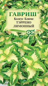 Семена Колеус Тэррено лимонный, 4шт, Гавриш, Цветочная коллекция