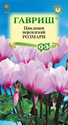 Семена Цикламен персидский Розмари, 3шт, Гавриш. Цветочная коллекция