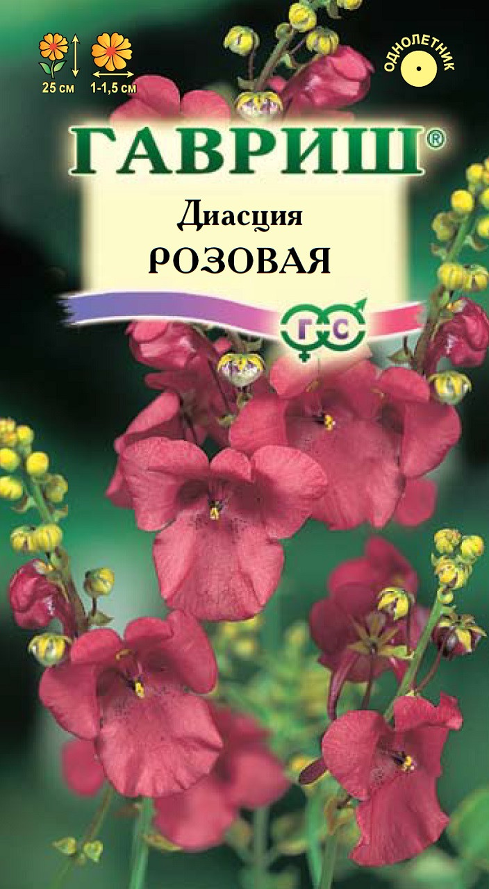 Где Можно Купить Семена Диасции