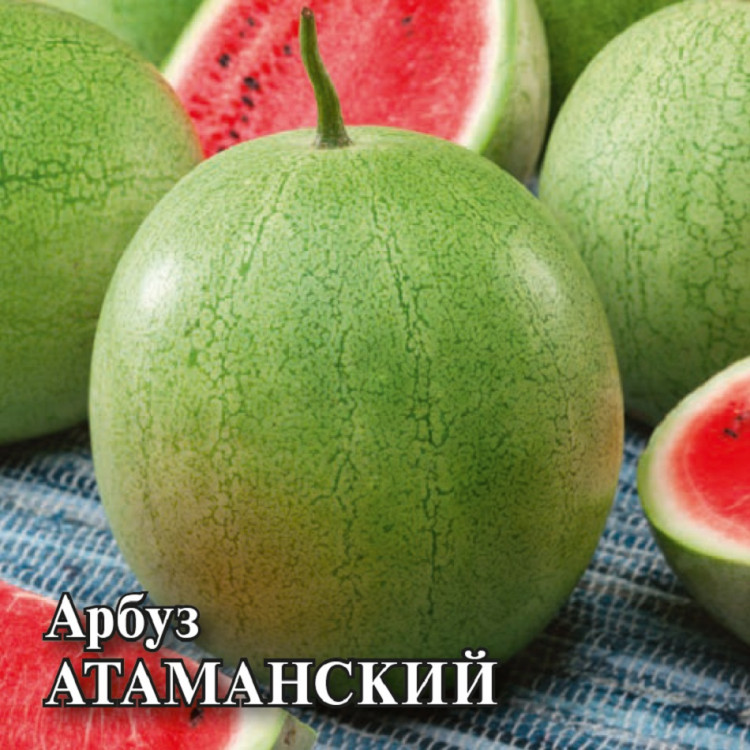 Семена Арбуз Атаманский, 50г, Гавриш, Фермерское подворье по цене 0 руб.Большой выбор Купить по всей ��оссии Интернет-магазин Гавриш 8-495-902-77-18