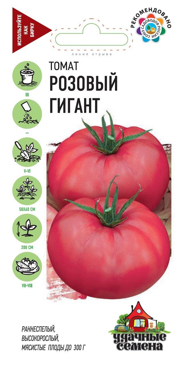 семена томат гигант