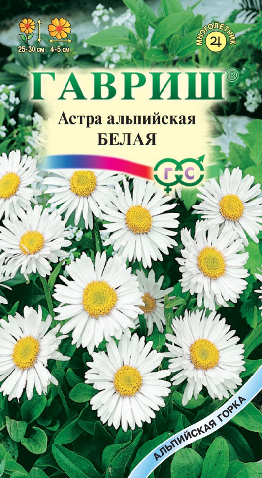 Семена Астра альпийская белая, 0,05г, Гавриш, Альпийская горка по цене ...
