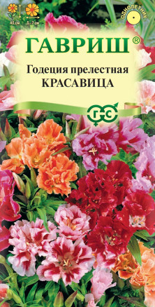 Семена Годеция Красавица, смесь, 0,1, Гавриш, Цветочная коллекция