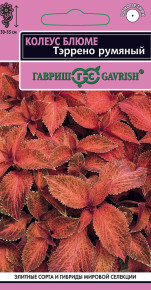 Семена Колеус Блюме Тэррено румяный, 4шт, Гавриш