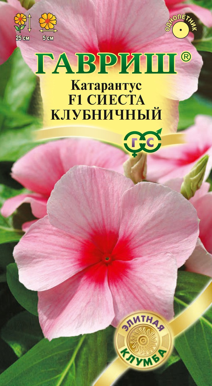 Катарантус Семена Купить В Спб