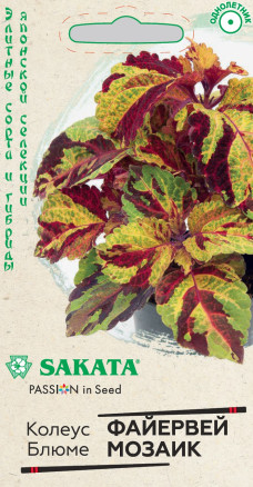 Семена Колеус Блюме Файервей Мозаик, 4шт, Гавриш, Элитные сорта и гибриды, Sakata