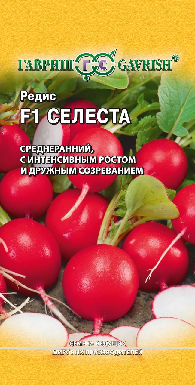 Где Купить Семена Редиса
