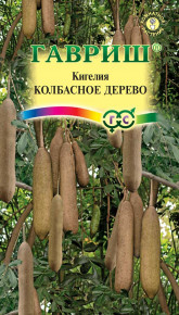 Семена Кигелия Колбасное дерево, 3шт, Гавриш, Цветочная коллекция