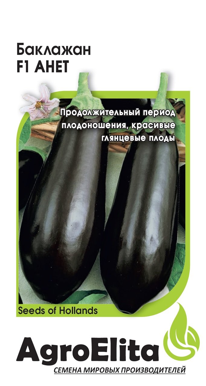 Баклажан Агат Купить Семена