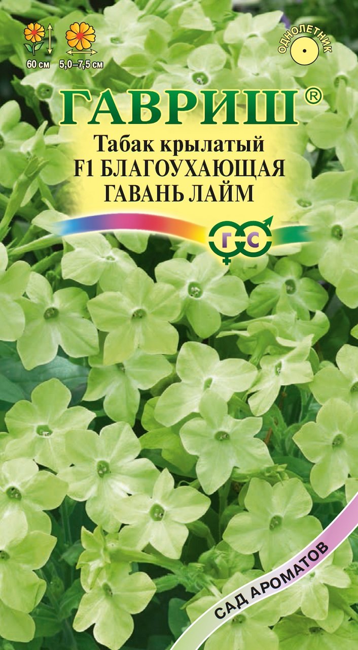 Купить Семена Табак Курительный Цветущий Сад