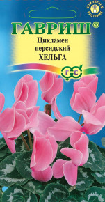 Семена Цикламен персидский Хельга, 3шт, Гавриш. Цветочная коллекция