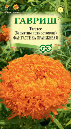 Семена Бархатцы прямостоячие (тагетес) Фантастика оранжевая, 0,1г, Гавриш, Цветочная коллекция