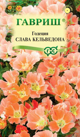 Семена Годеция Слава Кельведона, 0,05г, Гавриш, Цветочная коллекция
