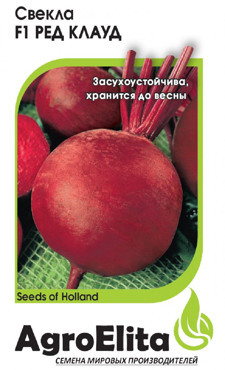 Купить Семена Свеклы Рафинад