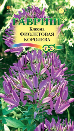 Семена Клеома Фиолетовая королева, 0,3г, Гавриш, Цветочная коллекция