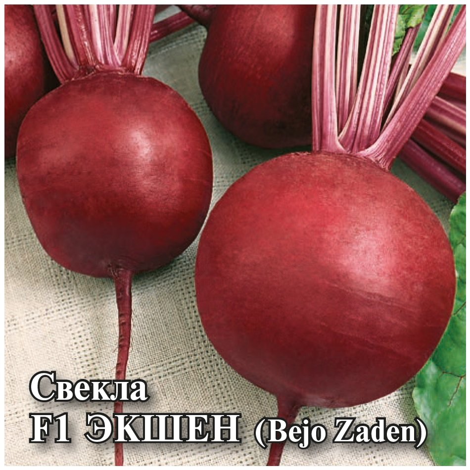 Купить Семена Свеклы Экшен