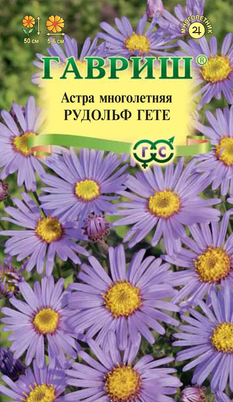 Астра Альпийская Многолетняя Купить Семена