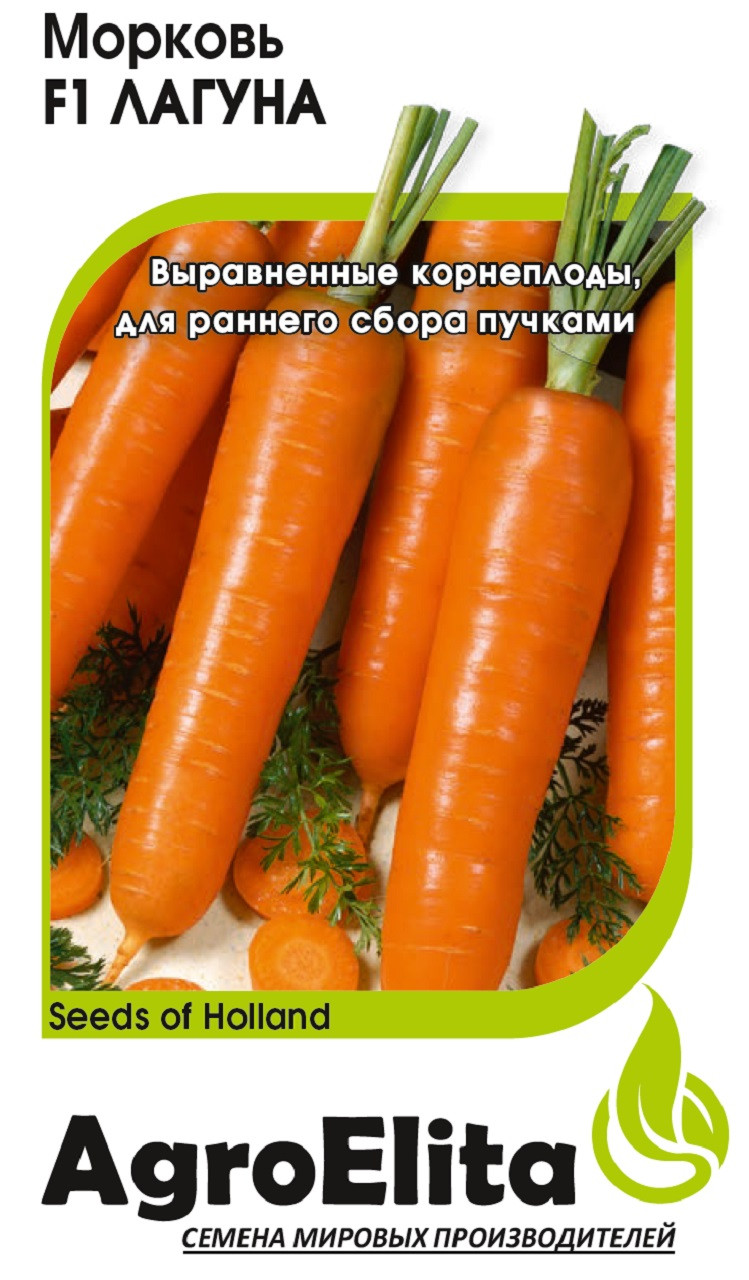 Купить Семена Моркови Лагуна