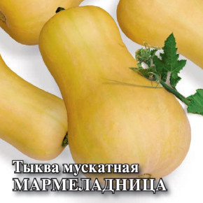 Семена Тыква мускатная Мармеладница, 25г, Гавриш, Фермерское подворье