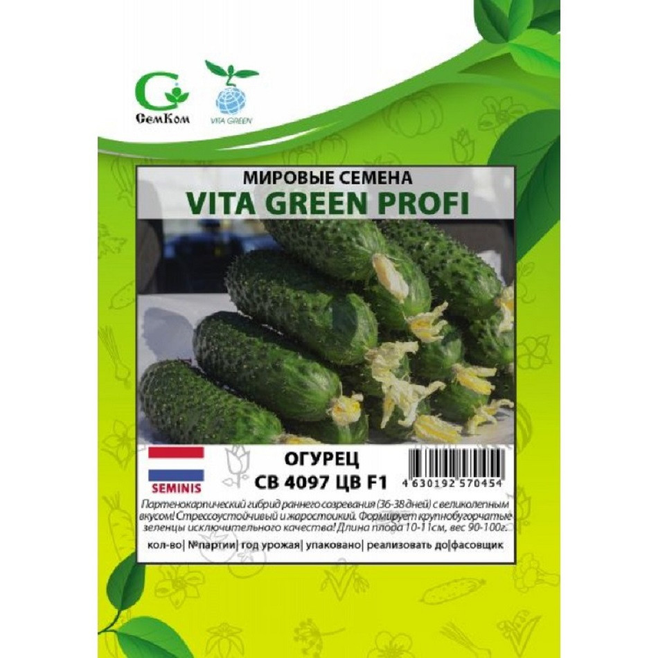 Семена  СВ 4097 ЦВ F1, 50шт, Vita Green Профи, Seminis по цене .