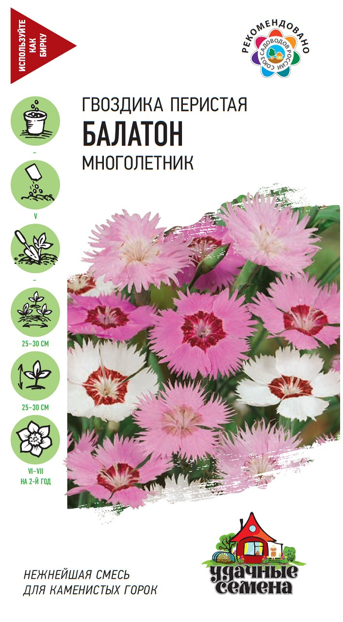 Семена Гвоздика перистая Балатон, смесь, 0,1г, Удачные семена по цене ...
