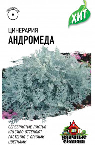 Семена Цинерария приморская Андромеда, 0,05г, Удачные семена, серия ХИТ