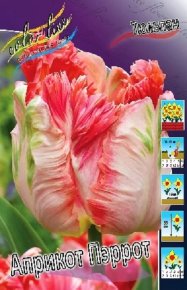 Тюльпан Априкот Пэррот (Tulipa Apricot Parrot), 10шт, Color Line