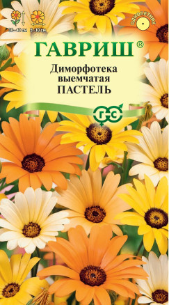Семена Диморфотека Пастель, смесь, 0,1г, Гавриш, Цветочная коллекция Семена Диморфотека Пастель, смесь, 0,1г, Гавриш, Цветочная коллекция