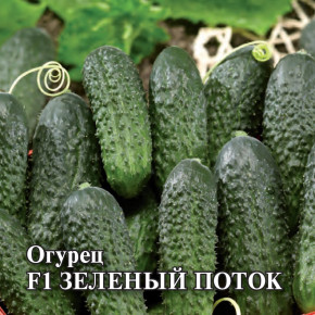 Семена Огурец Зеленый поток F1, 100шт, Гавриш, Фермерское подворье