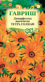 Семена Диморфотека Тетра Голиаф, 0,1г, Гавриш, Цветочная коллекция
