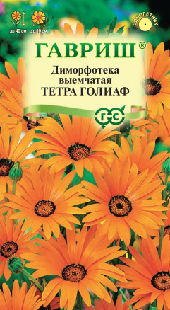 Семена Диморфотека Тетра Голиаф, 0,1г, Гавриш, Цветочная коллекция