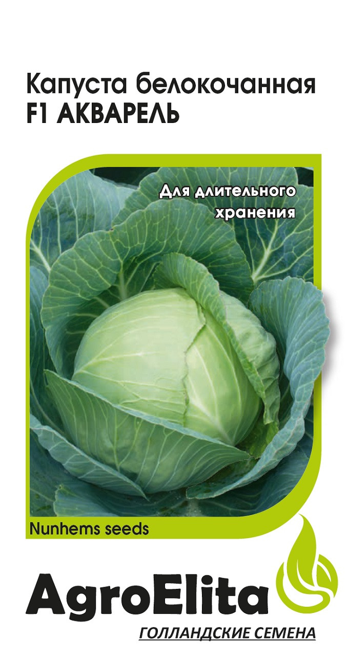 Купить Голландские Семена Овощей