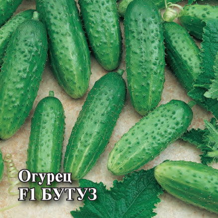 Семена Огурец Бутуз F1, 100шт, Гавриш, Фермерское подворье