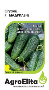 Семена Огурец Мадрилене F1, 5шт, AgroElita