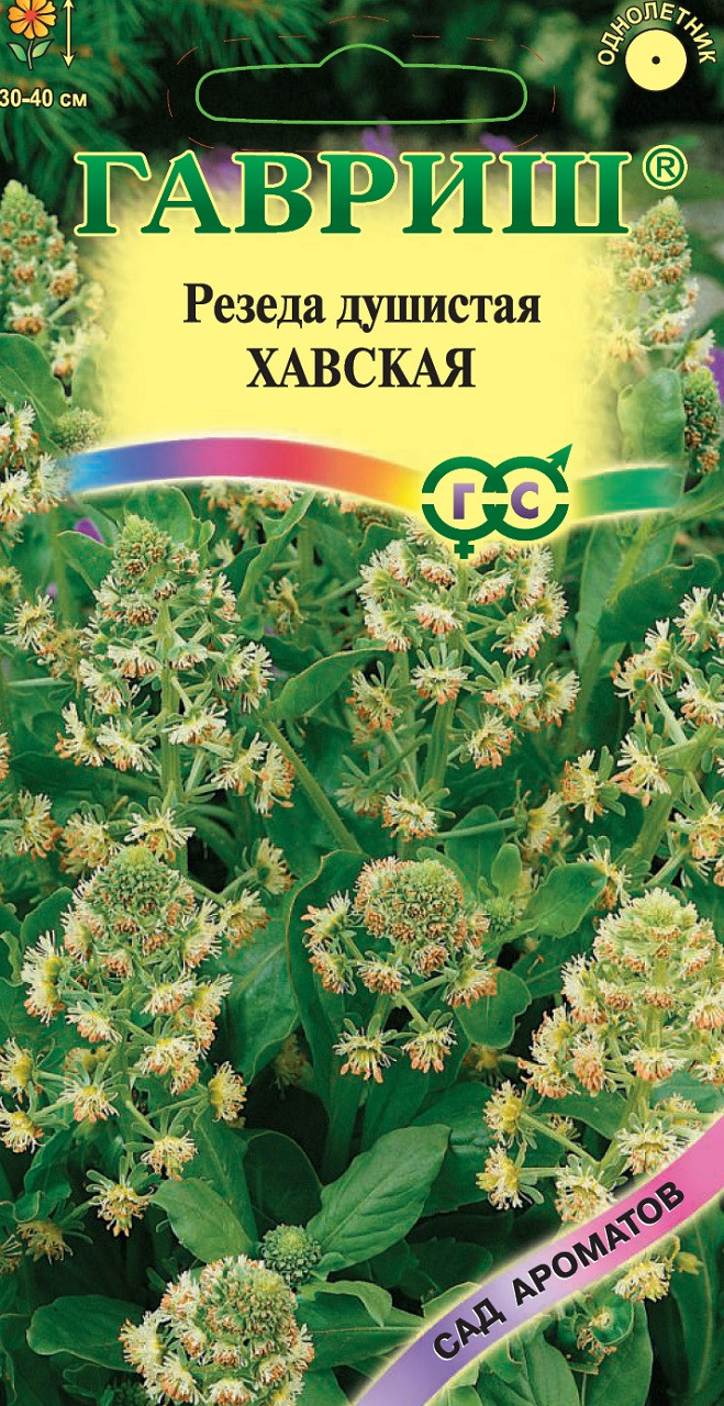 Гавриш Резеда