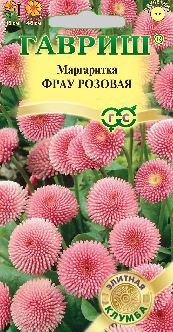 Маргаритки Семена Купить