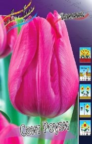 Тюльпан Свит Роузи (Tulipa Sweet Rosy), 10шт, Color Line