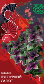 Семена Базилик Пурпурный салют, 0,1г, Гавриш, Пряности и страсти