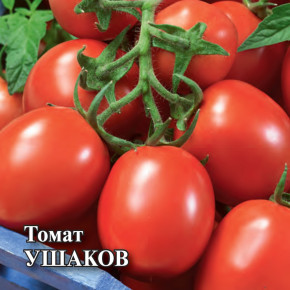 Семена Томат Ушаков, 25г, Гавриш, Фермерское подворье