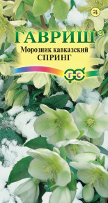Семена Морозник кавказский Спринг, 0,1г, Гавриш, Цветочная коллекция