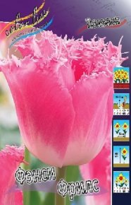Тюльпан Фэнси Фрилс (Tulipa Fancy Frills), 10шт, Color Line