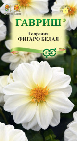 Семена Георгина Фигаро белая, 7 шт, Гавриш, Цветочная коллекция