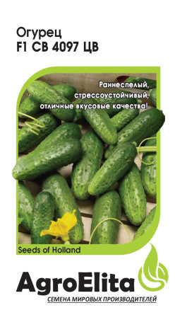 Семена Огурец СВ 4097 ЦВ F1, 5шт, AgroElita
