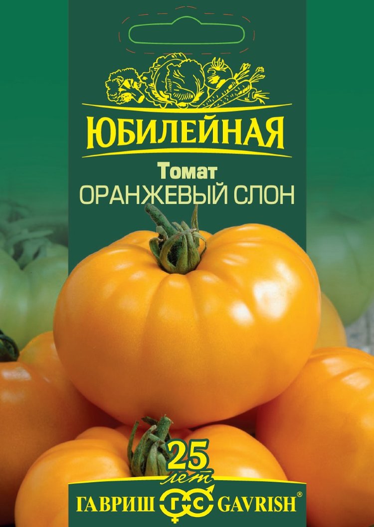 Оранжевый Слон Томат Характеристика Отзывы Фото