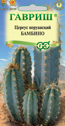 Семена Цереус перуанский Бамбино, 4шт, Гавриш, Цветочная коллекция
